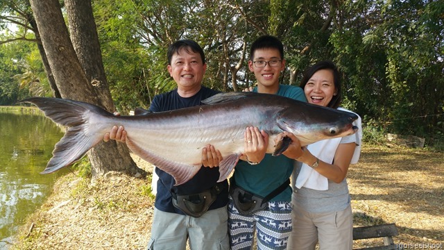 Largest catch for the day – 35 kg Mekong catfish.