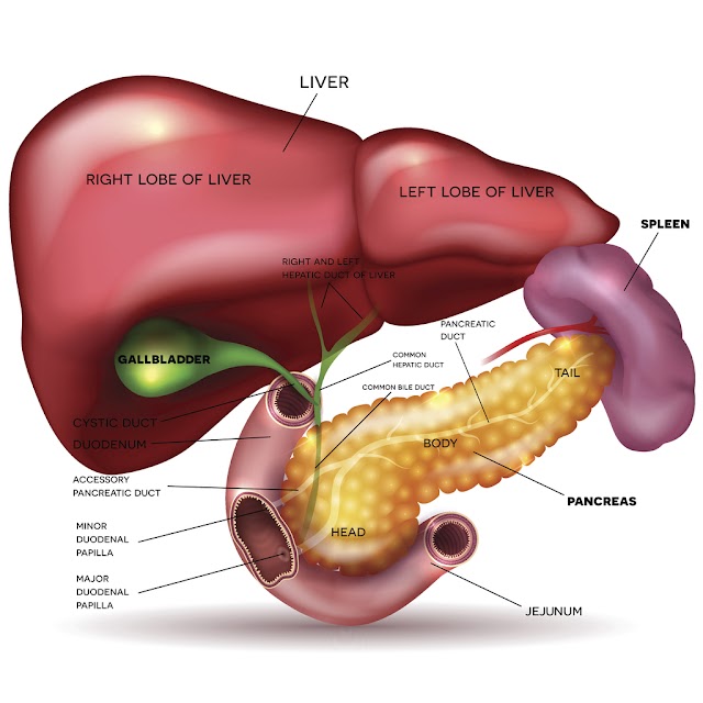 What is The Diabetes?