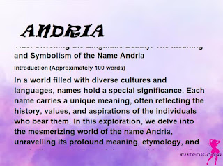 meaning of the name "ANDRIA"