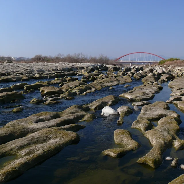 多摩川サイクリングロード　多摩大橋　鬼の洗濯岩