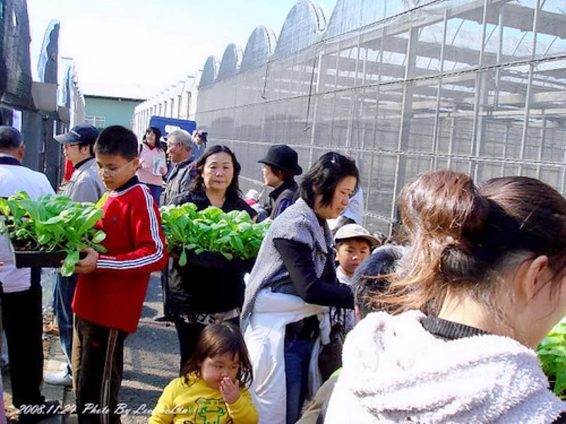 桃園農業改良場台北分場｜佳園路農改場｜北大特區樹林花海｜行政院農業委員會桃園區農業改良場台北分場｜三峽北大波斯菊花海｜北大農改場｜米漢堡、米餅DIY活動