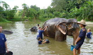 Baanchang Elephant Park de Chiang Mai.