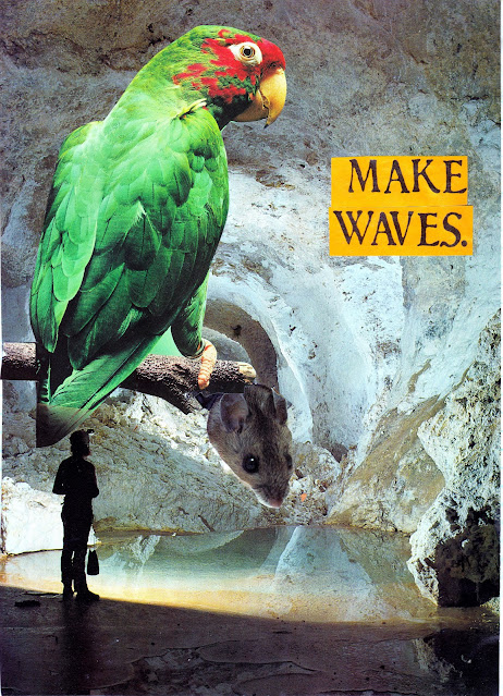 Make Waves