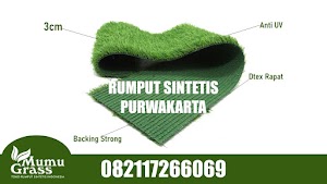 Jual Rumput Sintetis Purwakarta Lengkap