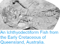 https://sciencythoughts.blogspot.com/2013/09/an-ichthyodectiform-fish-from-early.html