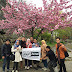 Tips Liburan Musim Semi di Jepang,Kisah Tour Sakura Pertama saya