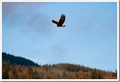 IMG_3180