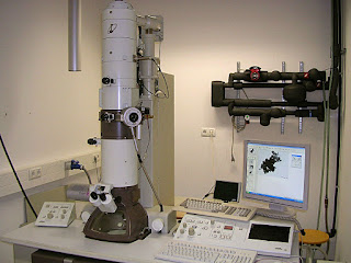 TRANSMISION ELECTRON MICROSCOPES