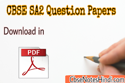 CBSE SA 2 Question Papers