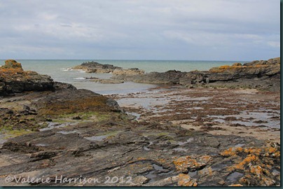 3-Dally-Bay