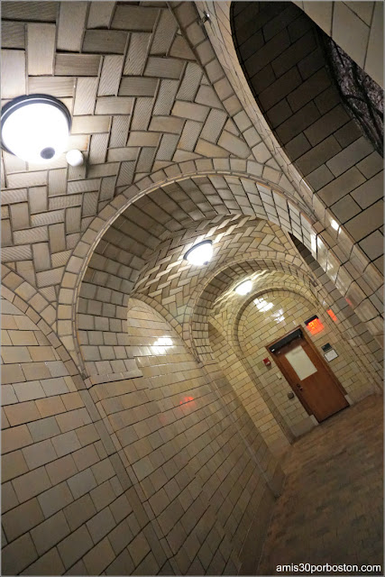 Bóvedas Tabicadas en el Sótano de la Biblioteca Widener, Universidad de Harvard