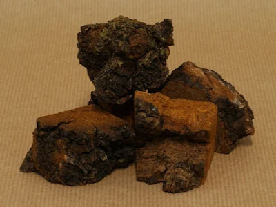 Chaga Mushroom Company in Bihar