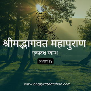 Bhagwat chapter 11.14