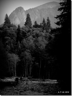 Taylor River.  Middle Fork Snoqualmie River Valley.  Washington.  August 13, 2012.
