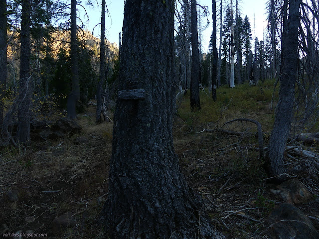 junction sign for Bear Lake