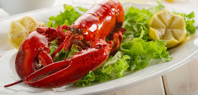 Apa Sih Manfaat Lobster Bagi Tubuh