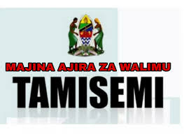 TAMISEMI : Majina AjiraMpya za Walimu Na Afya 2022/2023 PDF SOON RELEASED 