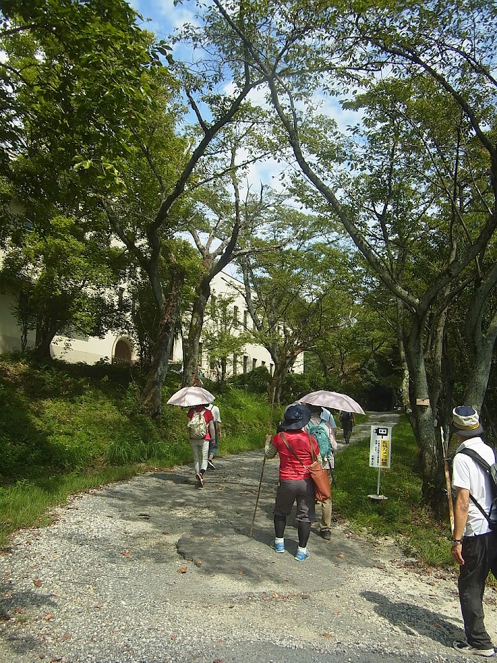 写真: 