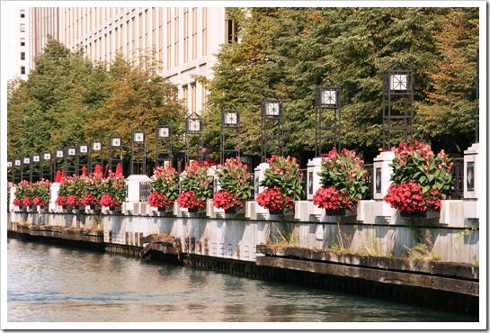 Chicago (44)