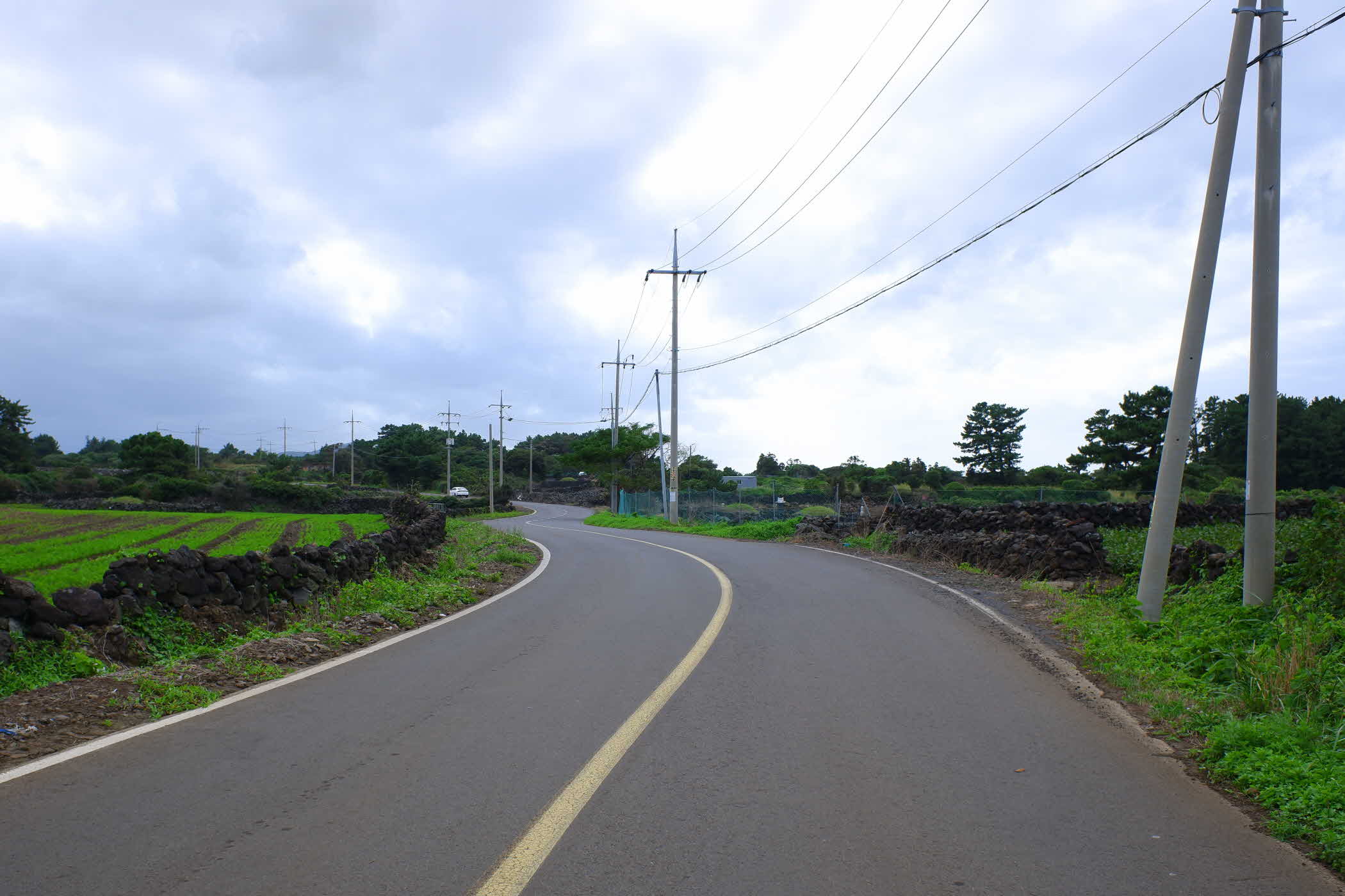 jeju