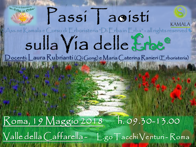 Docente del Corso di Erboristeria “Di Erba in Erba©” Cromoterapeuta - Cromoestetica Floriterapeuta Mediterranea - esperta di Cosmesi naturale personalizzata, Consulente naturopata - vasta esperienza anche con bimbi e anziani -  Istruttore di “Tài jí quán - 太极拳” e di “Tai Chi Kung” dello Stile Yang, della International Family Tai Chi Chuan blogger http://dierbainerba.blogspot.it - © Maria Caterina Ranieri 白蓮 – all rights reserved ॐ