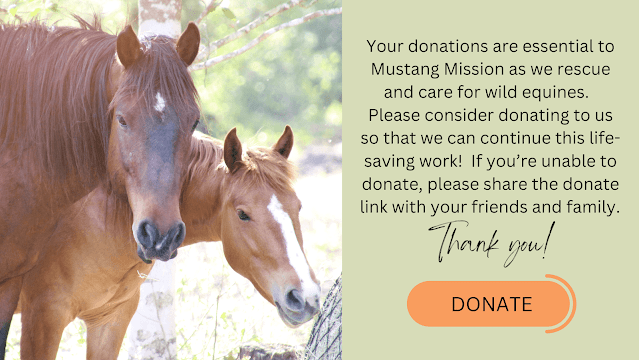 Donate to Mustang Mission