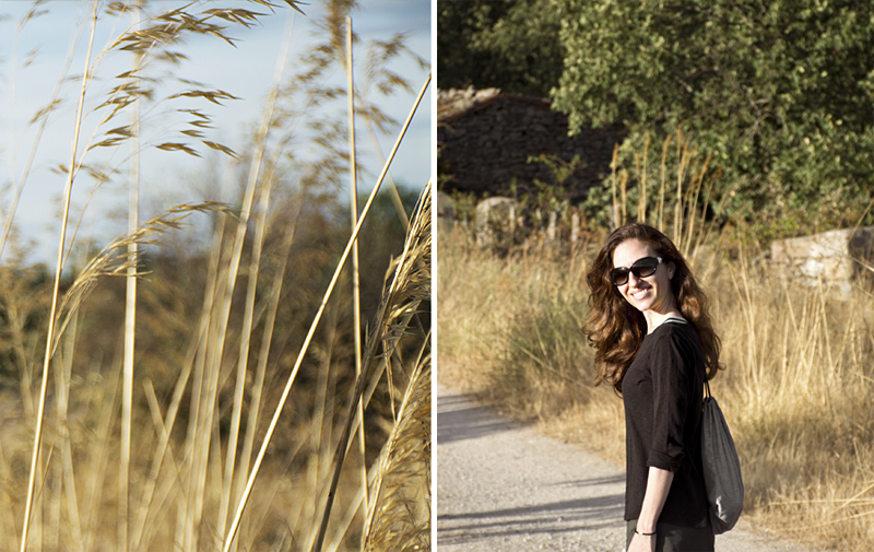 Un bonito y atípico verano en el campo / A beautiful summer in the countryside