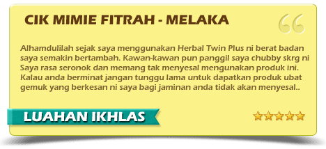 Ubat Gemuk Yang Berkesan - Herbal Twin Plus: UBAT GEMUKKAN 