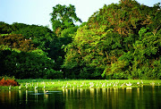 AMAZONAS, UNA MARAVILLA NATURAL, ORGULLO DEL PERÚ.