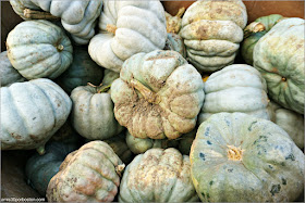 Calabazas a la Venta de la Granja Volante 