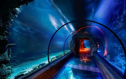 underwater-tunnel-at-mandelay-bay-las-vegas-799x500