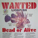 Traditional Fisheries - LionFish
