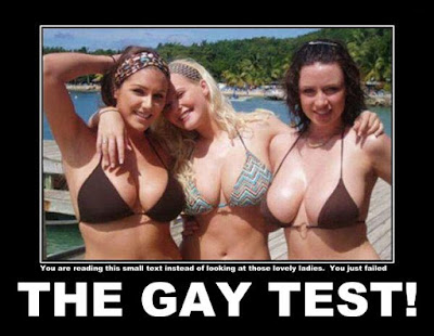 Gay Test