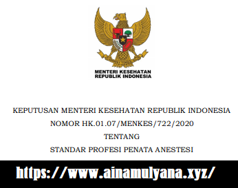 KMK atau Kepmenkes Nomor HK.01.07-MENKES-722-2020 Tentang Standar Profesi Penata Anestesi