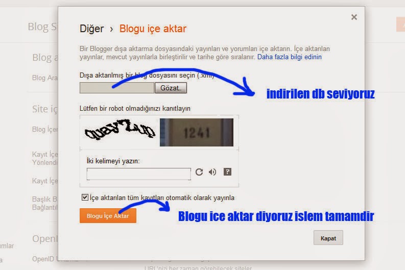 Blogger DB İndir / Yedek