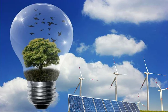 The Role of Renewable Electricity