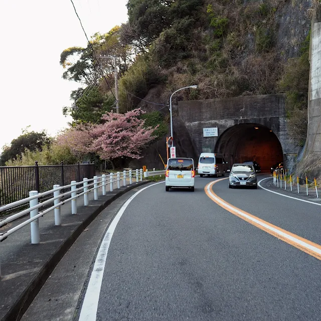 国道135号　今井浜