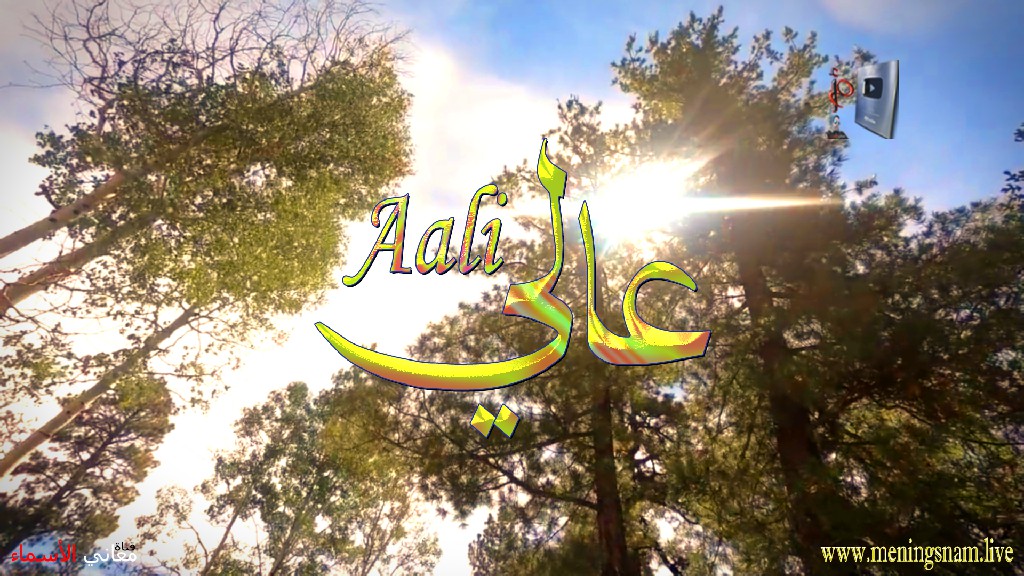 معنى اسم, عالي, وصفات, حامل, هذا الاسم, Aali,