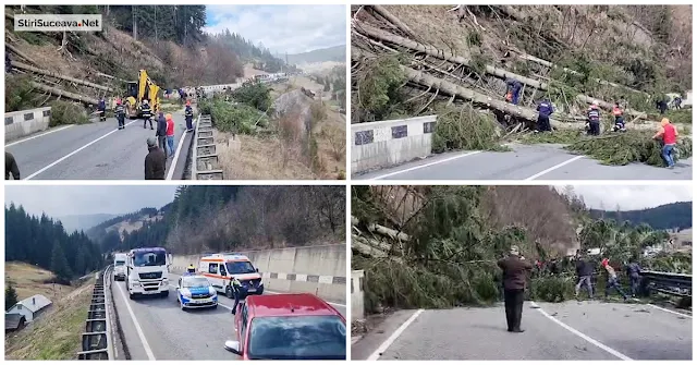 Trafic rutier blocat complet pe DN17, în Pasul Mestecăniș, din cauza copacilor rupți de vijelie