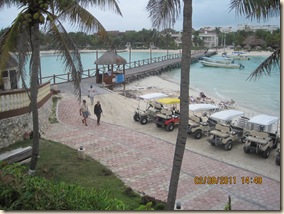 Winter 2011 D 135