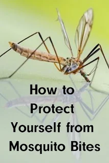 How to Protect Yourself from Mosquito Bites