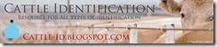 Cattle-Identification-Blog