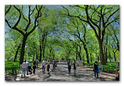 We're talking a walk through Central Park on a Saturday here on Something On . (nyc centralpark )