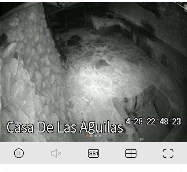 No hay daños graves en el Templo Mayor, tras granizada: Frausto