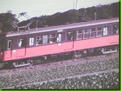 DSCN4026