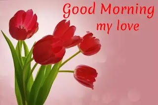 Good morning red rose images