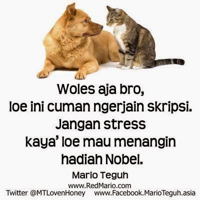  Kata Kata  Gokil Mario  Teguh  Kata Kata  SMS