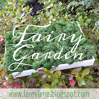 DIY Fairy Garden