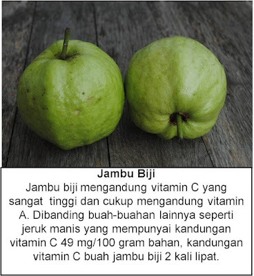 manfaat jambu biji untuk kesehatan