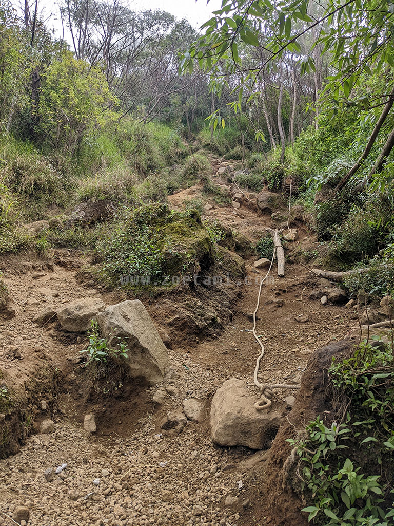 Estimasi Pendakian Gunung Sindoro via Kledung